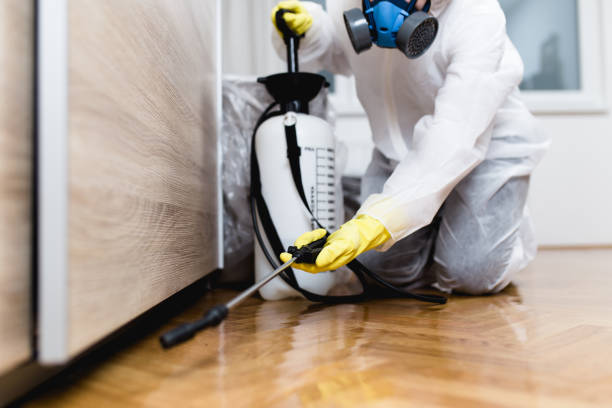 Best Pest Control for Businesses  in Pearland, TX