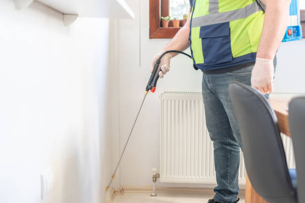 Best Residential Pest Control  in Pearland, TX