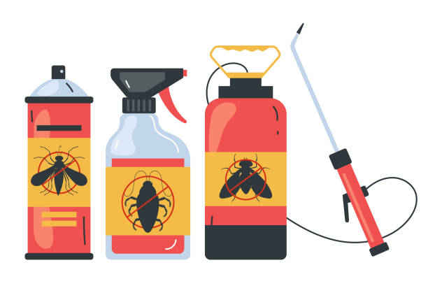 Trusted Pearland, TX Pest Control Experts