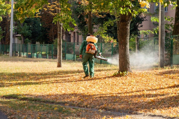 Best Bed Bug Extermination  in Pearland, TX